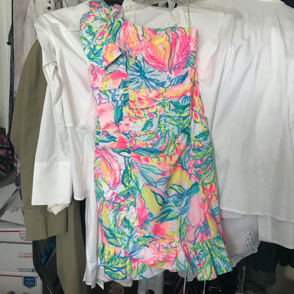 ❌❌Lilly Pulitzer Dress❌❌❌❌ - Picture 10 of 10